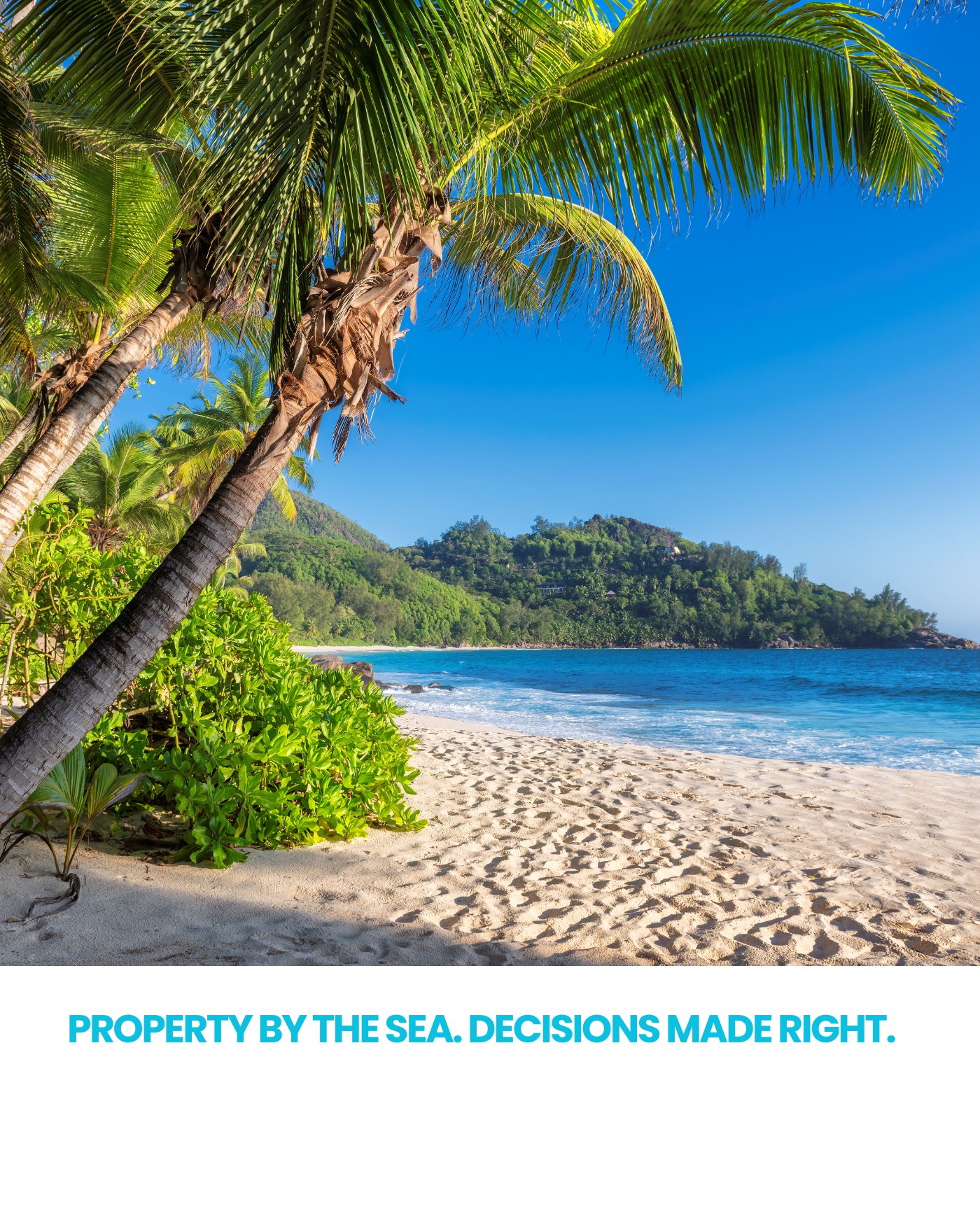 Coastal beach view with palm trees — property by the sea, decisions made right