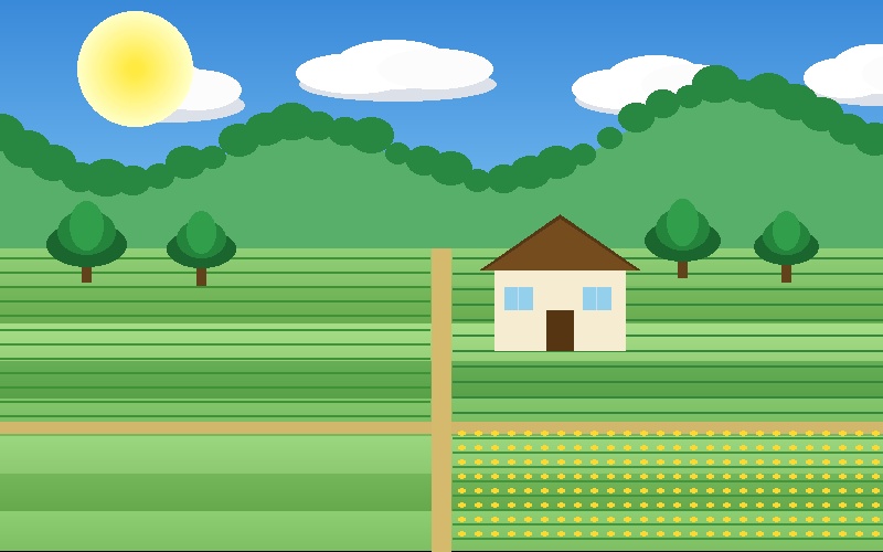 Organic Farmland — Yellapur Valley