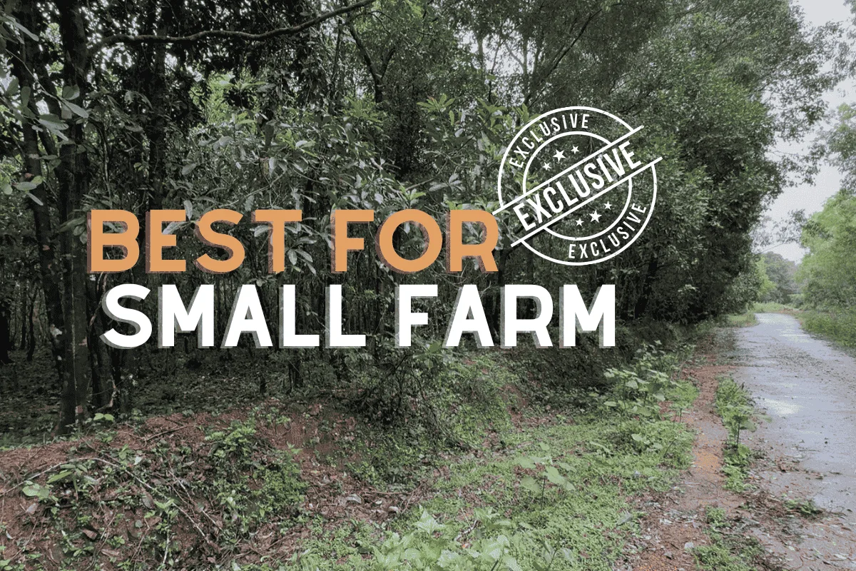 Prime Agricultural Farmland in Korgi, Kundapur – Ready for Transformation