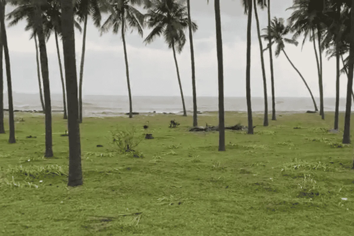 8-Acre Beachfront property at Bhatkal image 2