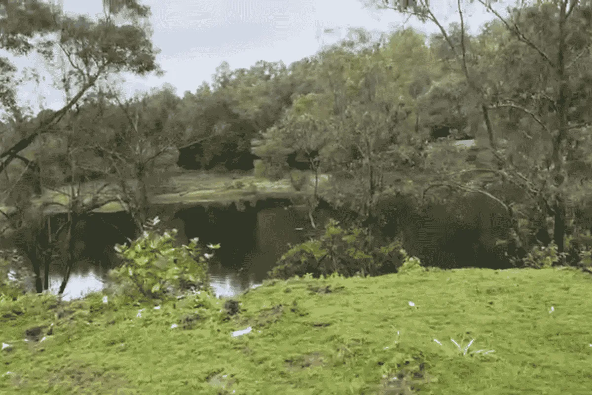 8-Acre Beachfront property at Bhatkal image 3