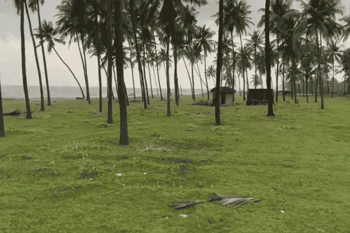 8-Acre Beachfront property at Bhatkal image 4