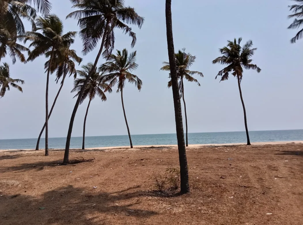 exclusive beach property suitable for resort and beach villas in Shiroor image 3