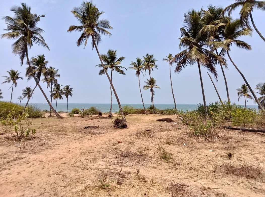 exclusive beach property suitable for resort and beach villas in Shiroor image 4
