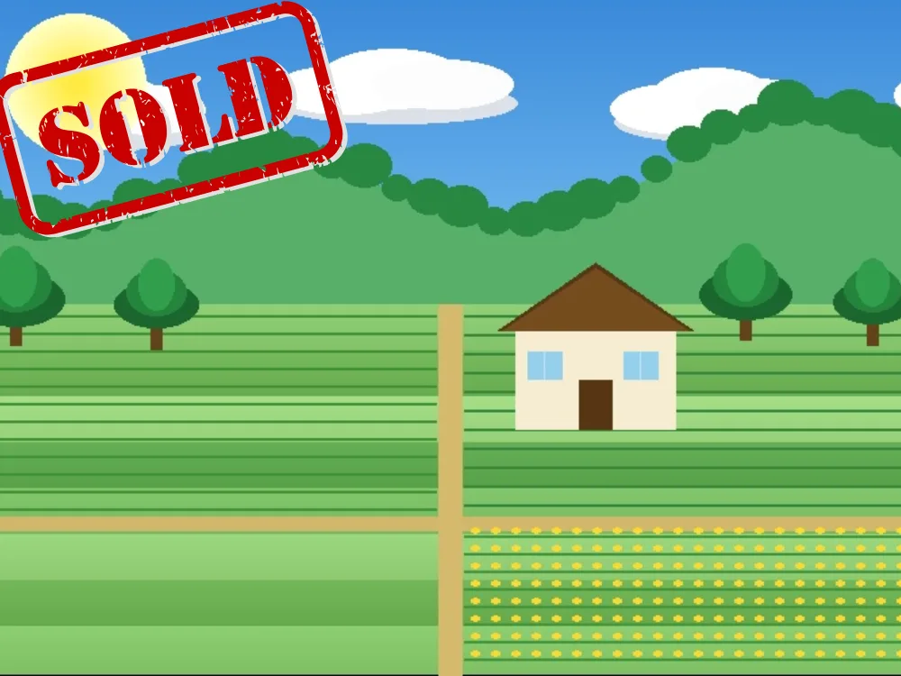 Organic Farmland — Yellapur Valley