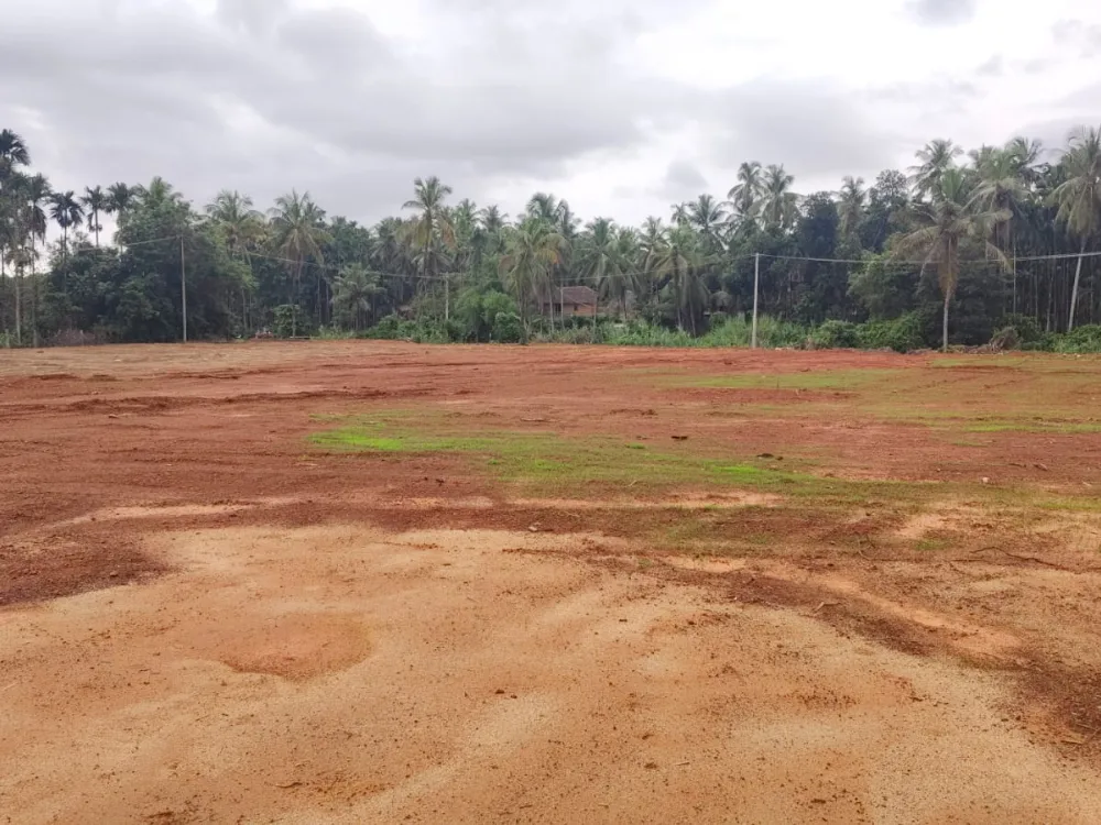 2 Acre Farmland for Sale in Shiriyara, Mekekattu