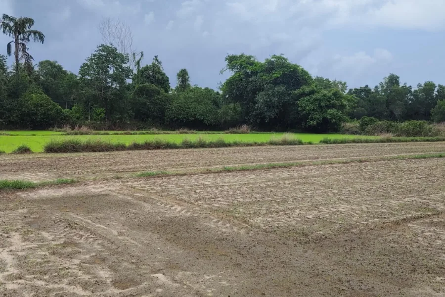 3 Acre agricultural plot in Beloor, Mogebettu, Kundapura
