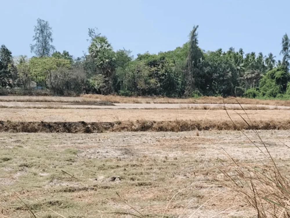 20 Cents Residential Plot for sale in Manoor, Kota