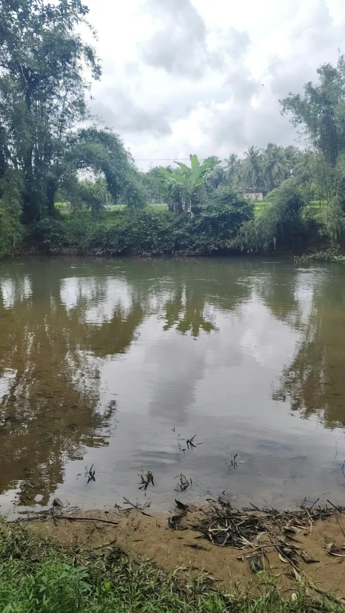 Riverside Farmland for Sale