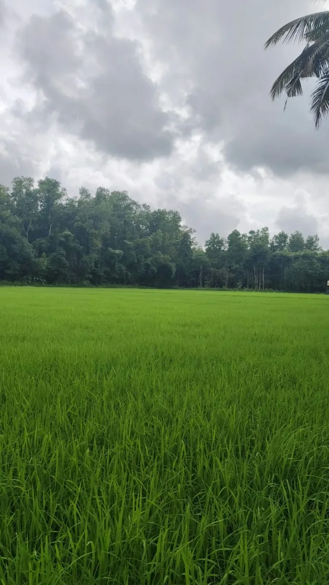 Riverside Farmland for Sale image 3
