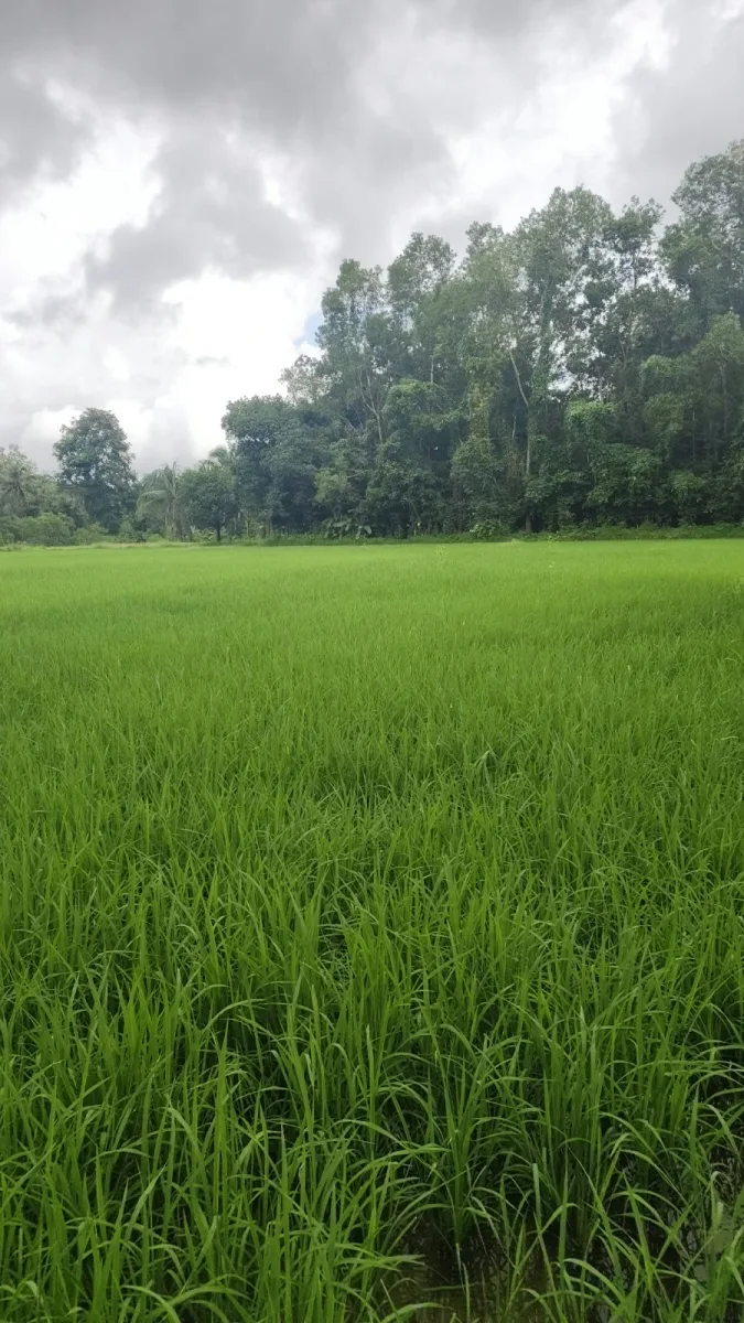 Riverside Farmland for Sale image 5