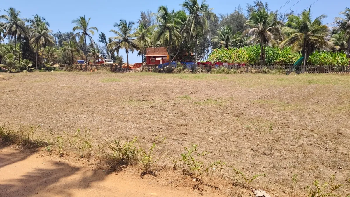 45-Cent Second-Row Beach Property for Sale in Kome, Thekkatte image 2