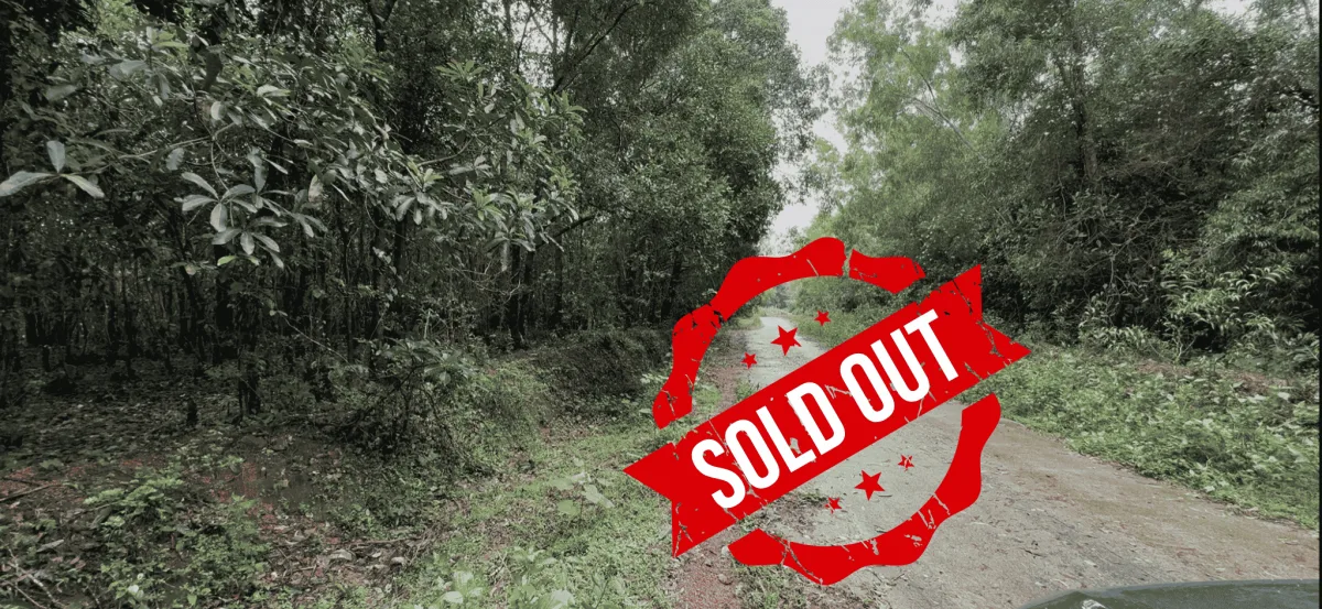 1.28-Acre Farmland for Sale in Korgi, Kundapur — Udupi District