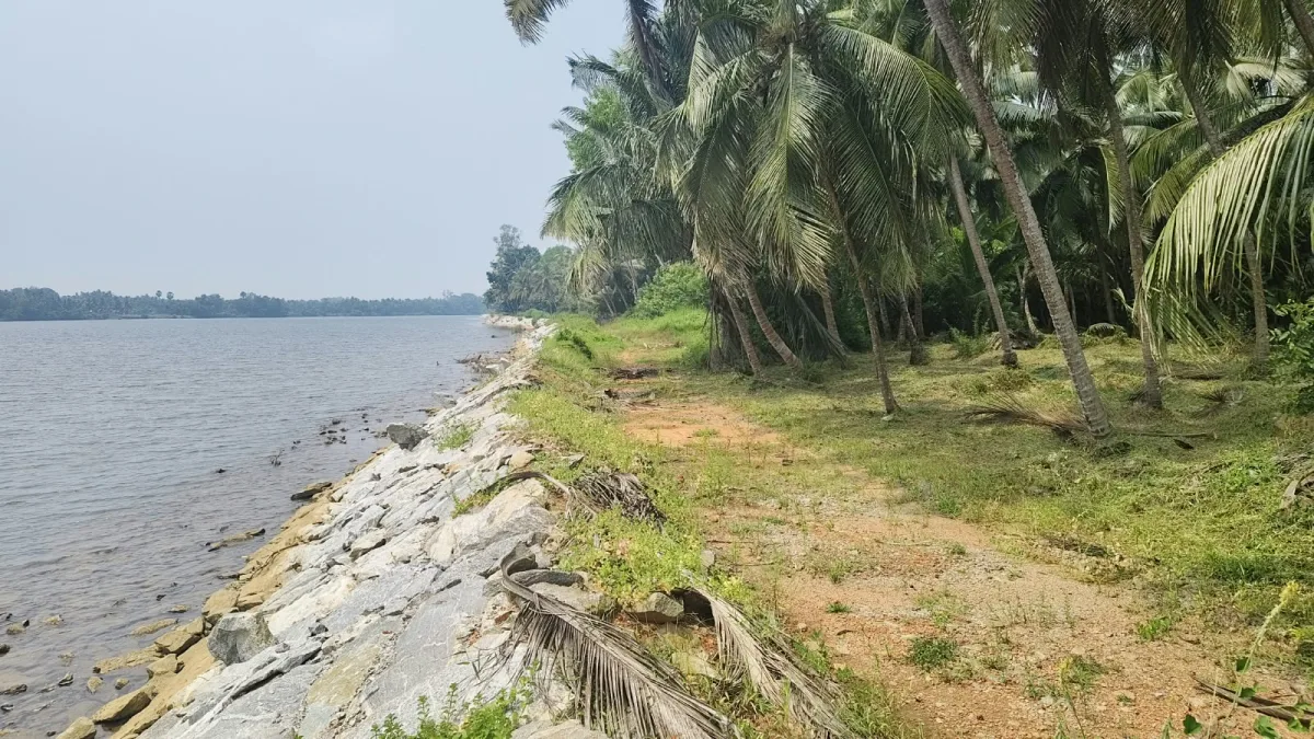 1.21 Acre Riverfront Property for Sale in Brahmavar, Udupi image 4