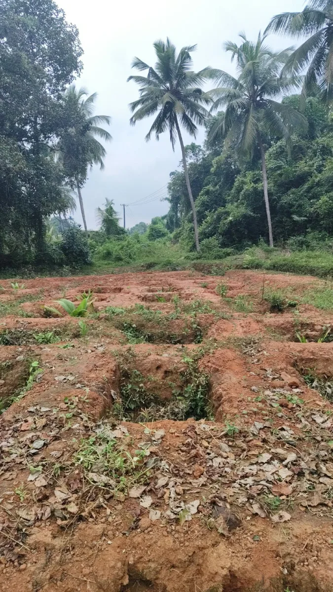 Riverfront farmland for sale in Parika, Athradi, Udupi image 2