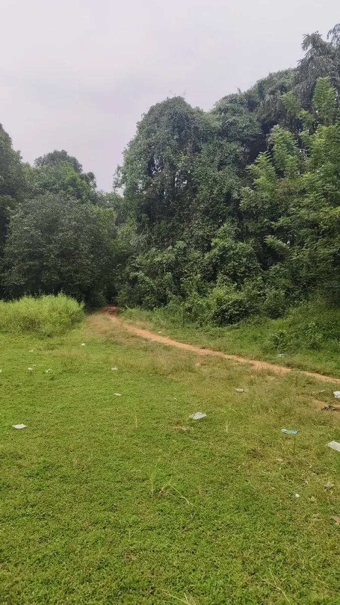 Riverfront farmland for sale in Parika, Athradi, Udupi image 5