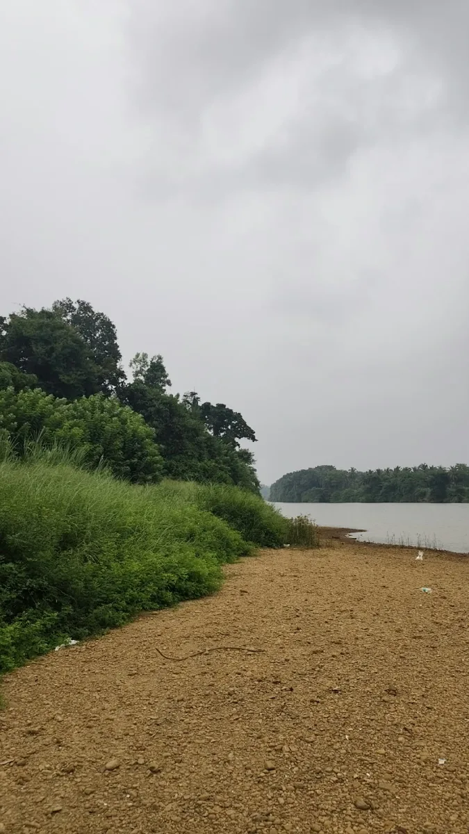 Riverfront farmland for sale in Parika, Athradi, Udupi