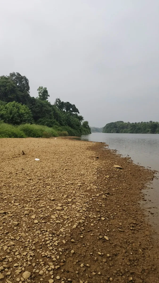 Riverfront farmland for sale in Parika, Athradi, Udupi image 6