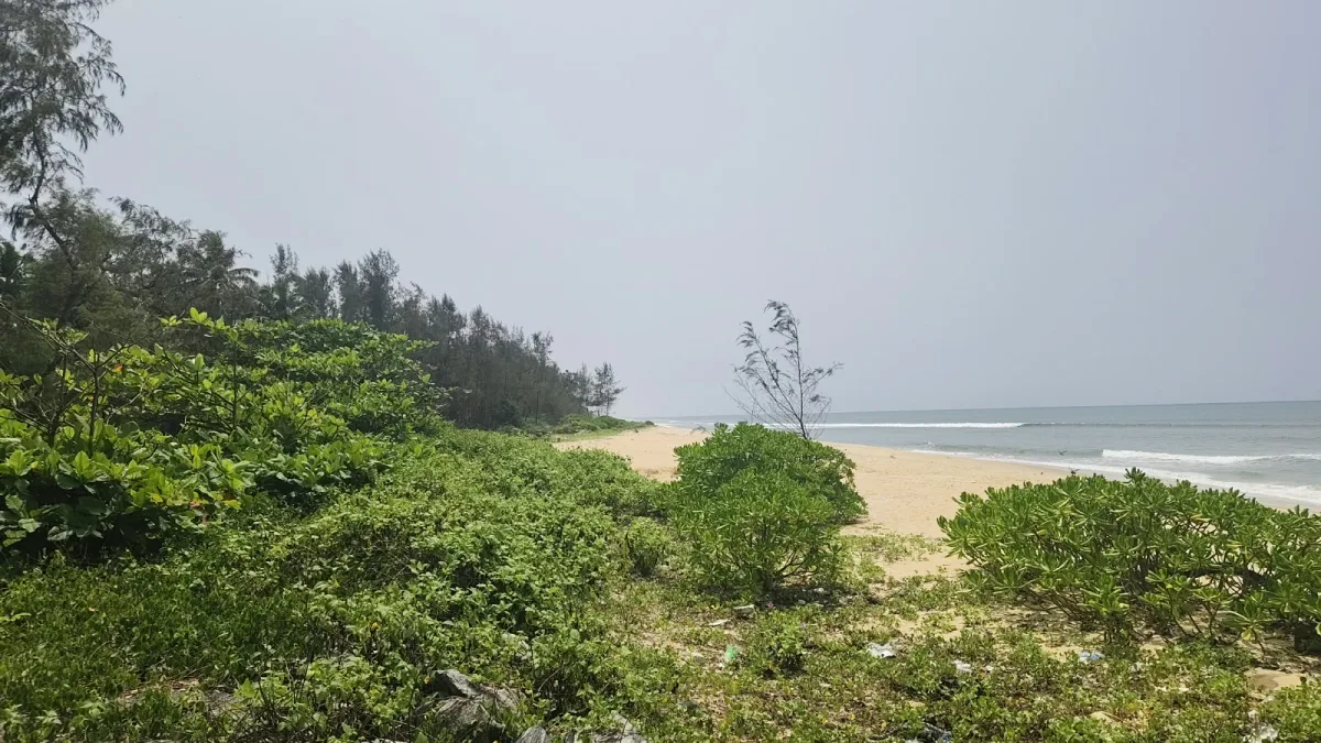 26-Cent Beach-Facing Land for Sale in Korvadi