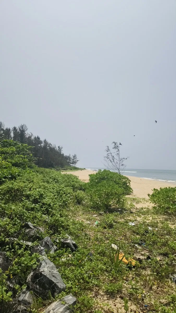 26-Cent Beach-Facing Land for Sale in Korvadi image 2