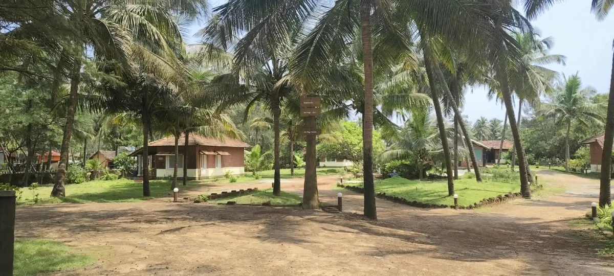 2.45-Acre Beach-Facing Land with 7 Cottages in Korvadi image 3