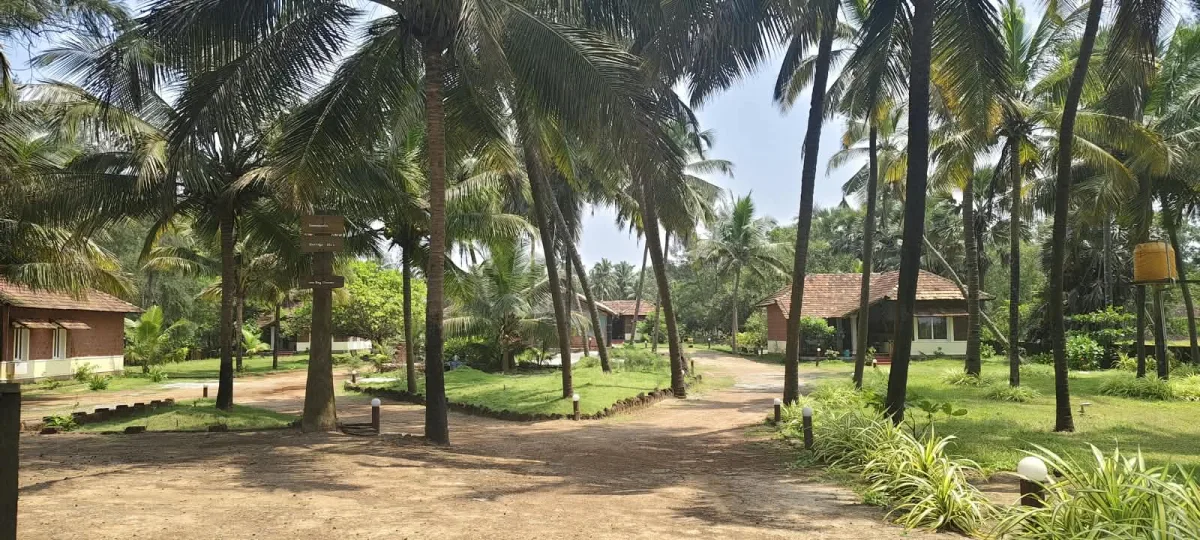2.45-Acre Beach-Facing Land with 7 Cottages in Korvadi image 4