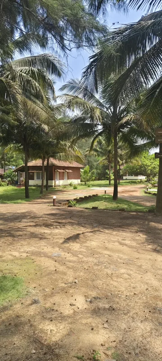 2.45-Acre Beach-Facing Land with 7 Cottages in Korvadi
