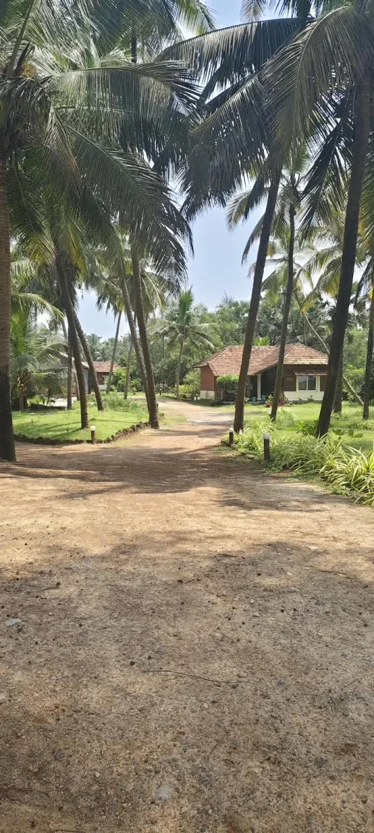 2.45-Acre Beach-Facing Land with 7 Cottages in Korvadi image 5