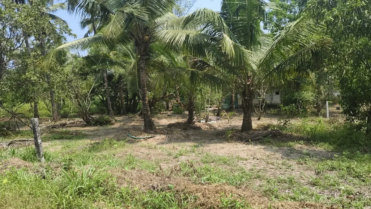26-Cent Second-Row Beach Property with House in Kome