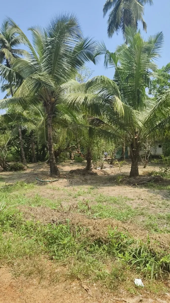 26-Cent Second-Row Beach Property with House in Kome image 4