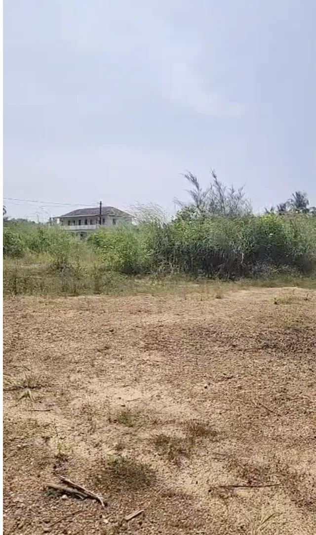 2.38-Acre Land for Sale Near Hale Alive Beach, Kundapura image 2
