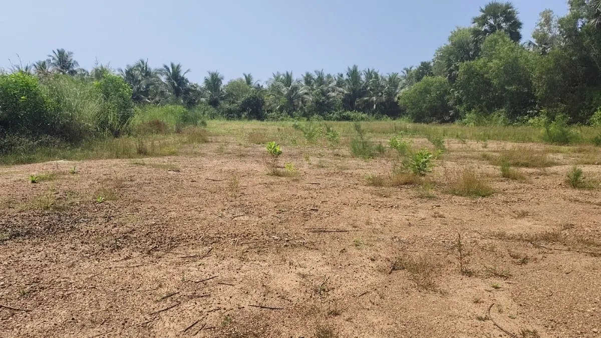 2.38-Acre Land for Sale Near Hale Alive Beach, Kundapura