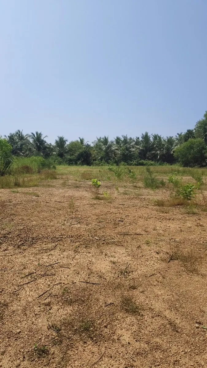 2.38-Acre Land for Sale Near Hale Alive Beach, Kundapura image 3
