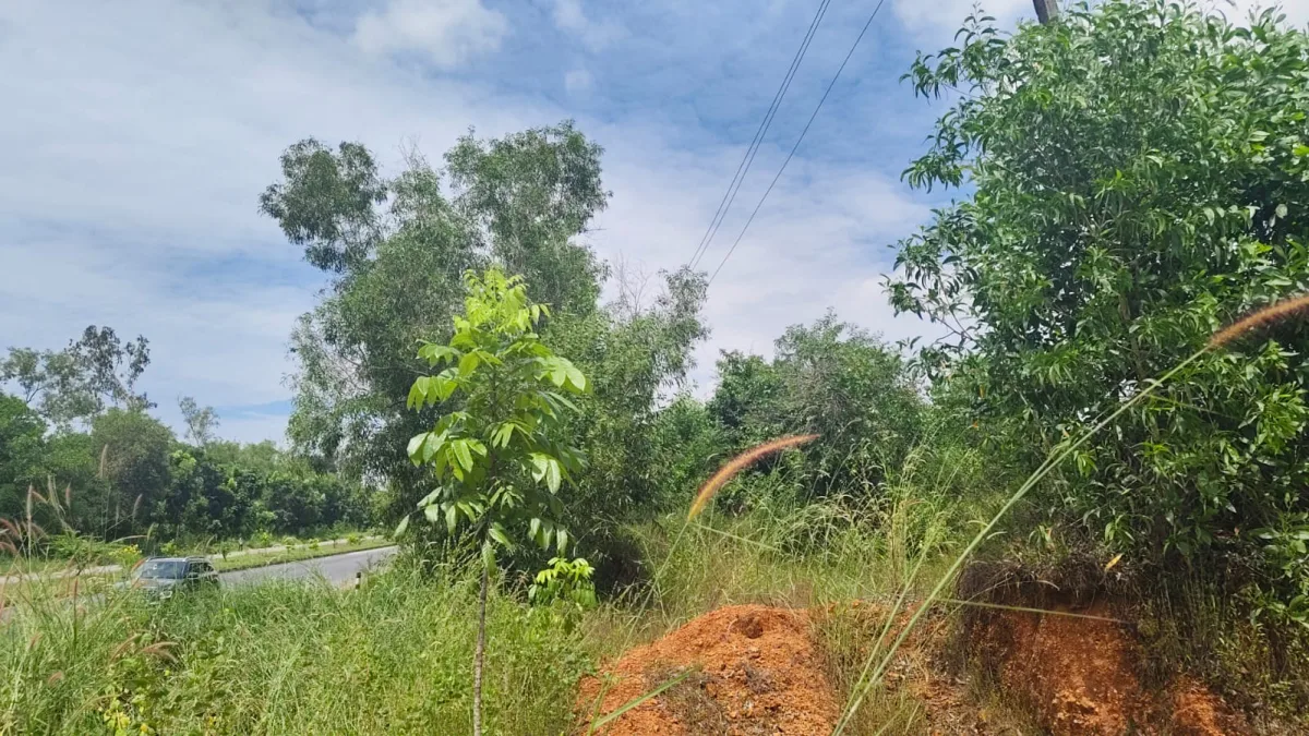 58.50 Cent Land for Sale Near NH 66, Hemmadi–Tallur image 2