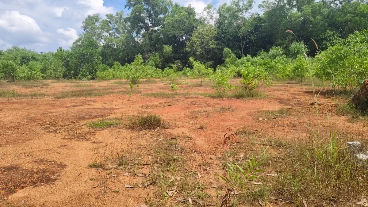 58.50 Cent Land for Sale Near NH 66, Hemmadi–Tallur