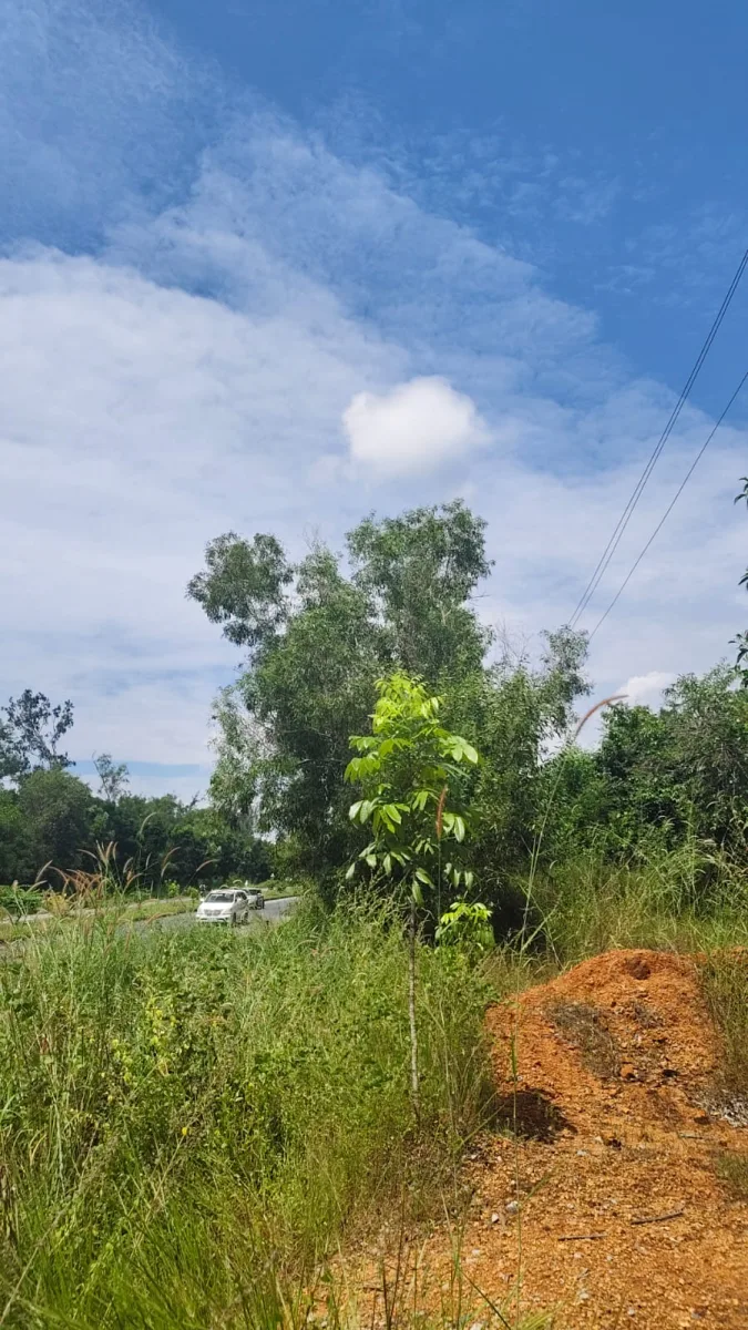58.50 Cent Land for Sale Near NH 66, Hemmadi–Tallur image 3