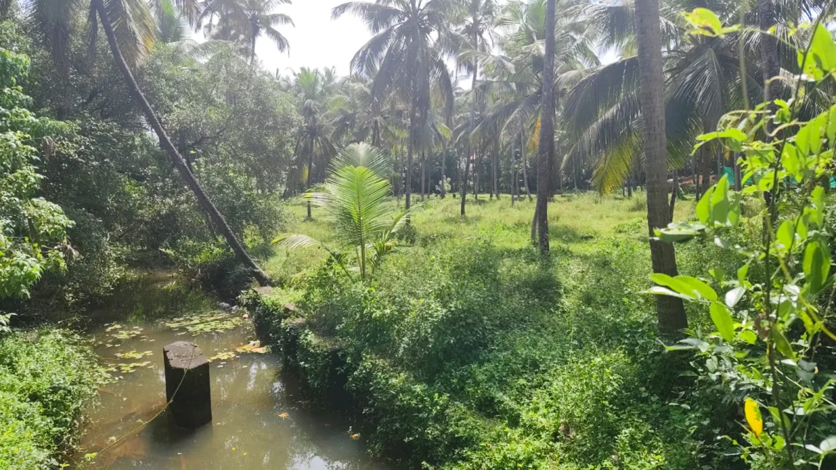 1.25-Acre River-Facing Farmland for Sale in Trasi image 3