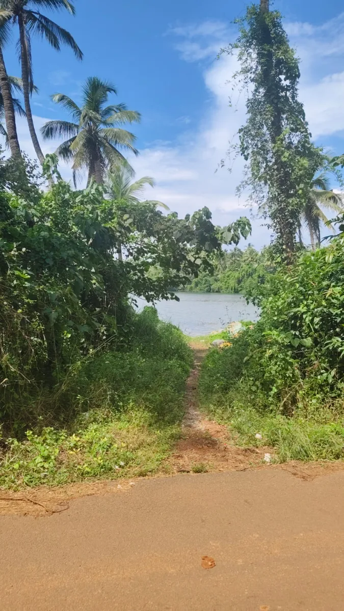 1.25-Acre River-Facing Farmland for Sale in Trasi