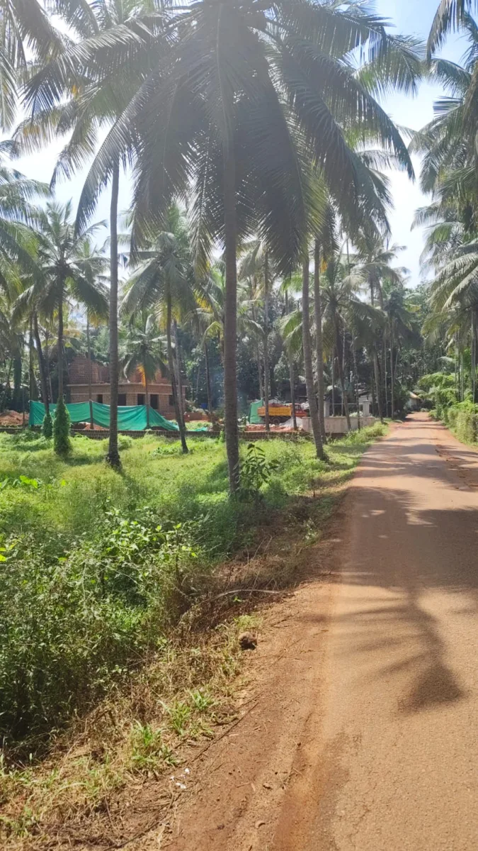 1.25-Acre River-Facing Farmland for Sale in Trasi image 4