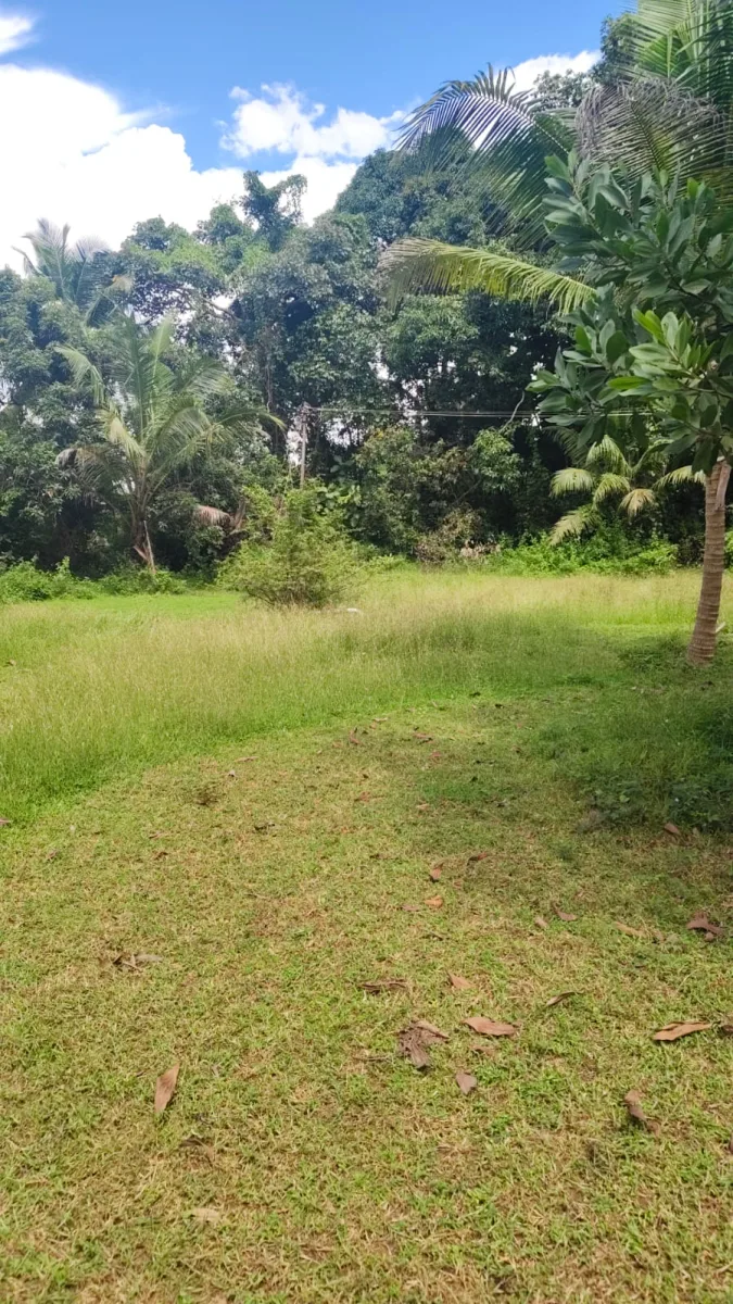 4.50-Acre River-Facing Farmland for Sale in Trasi