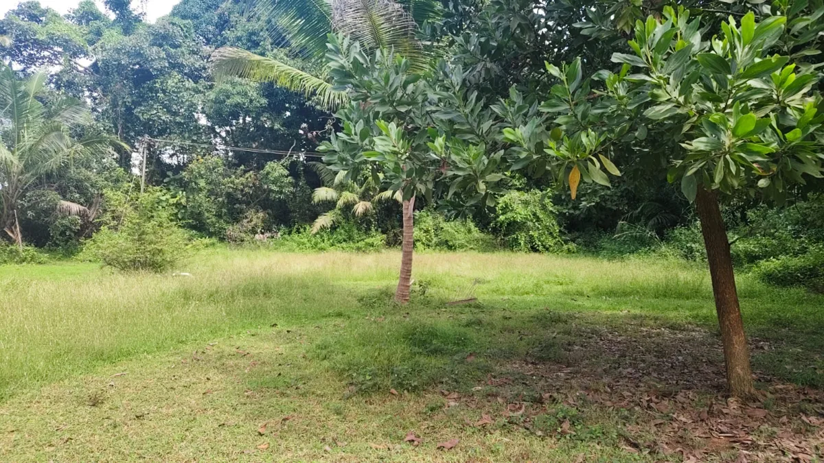 4.50-Acre River-Facing Farmland for Sale in Trasi image 2