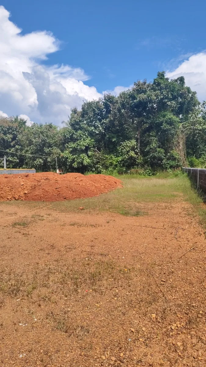 4.50-Acre River-Facing Farmland for Sale in Trasi image 4