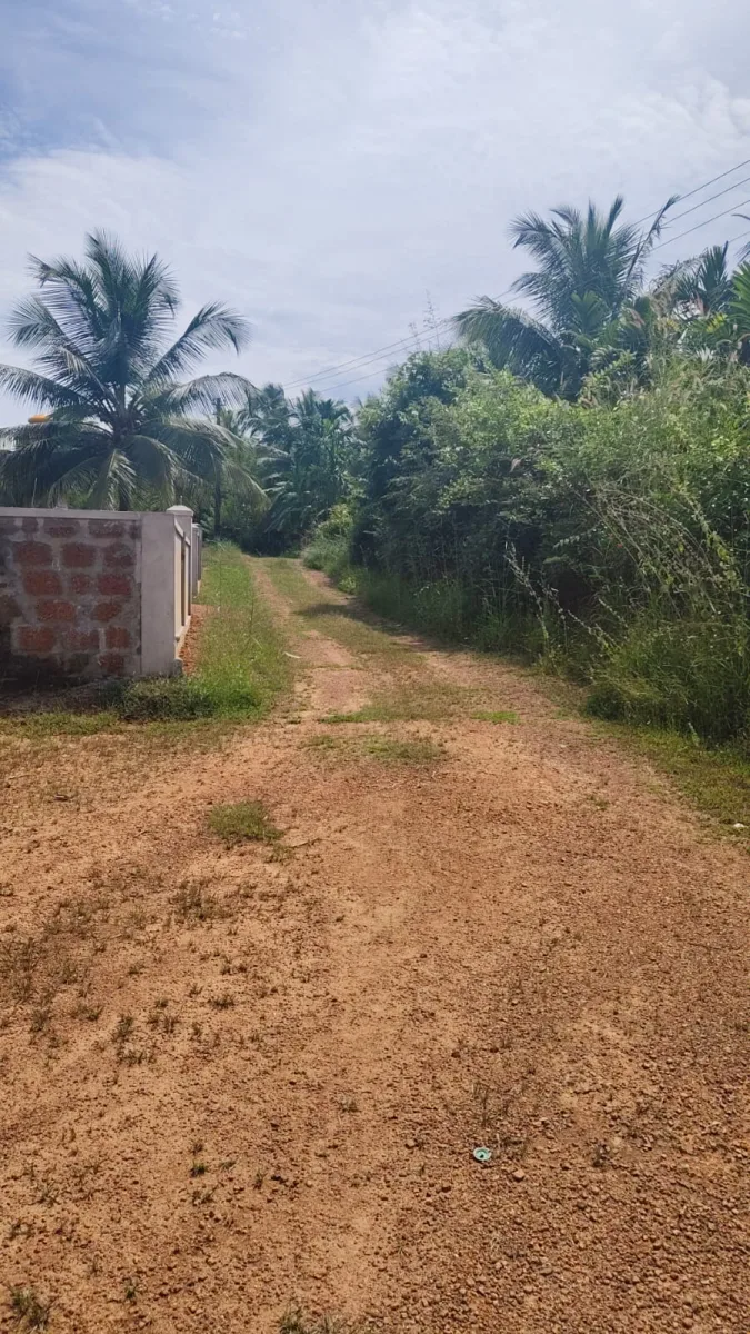 4.50-Acre River-Facing Farmland for Sale in Trasi image 5